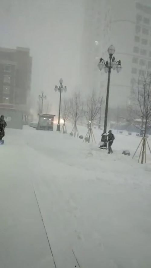 长春爆料大雪纷飞视频,银装素裹美如画