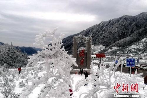 长春爆料大雪纷飞视频,银装素裹美如画  第3张