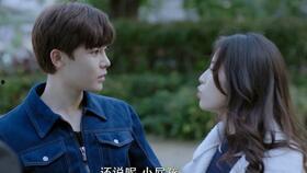 寒武纪网剧在线观看,穿越亿年时光，探寻生命起源的奇幻之旅