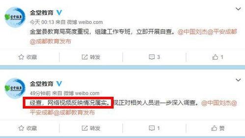 网友爆料类视频怎么做,热门事件幕后真相大起底  第3张