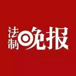 法律新闻爆料怎么写,深度解析最新案件动态