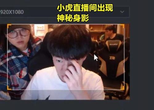 小虎爆料斩虎视频大全集