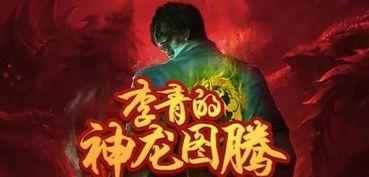 神龙李青爆料视频完整版,视频完整版深度解析 第3张 神龙李青爆料视频完整版,视频完整版深度解析 第3张