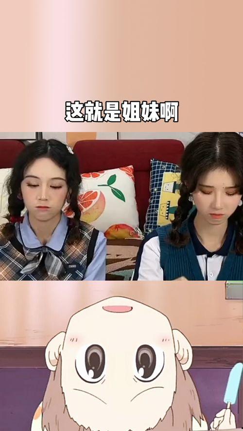姐妹关系在线观看中文,一场跨越时空的中文观影之旅 第3张 姐妹关系在线观看中文,一场跨越时空的中文观影之旅 第3张