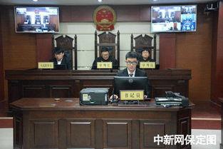 保定望都县爆料案件最新,案情揭秘，真相渐浮水面